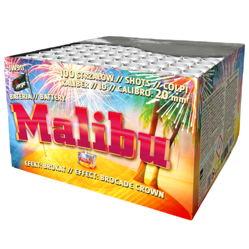 Malibu 100s JW911 F2 4/1
