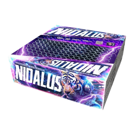 Nidalus 256s 20mm C25620NID/C F2 1/1