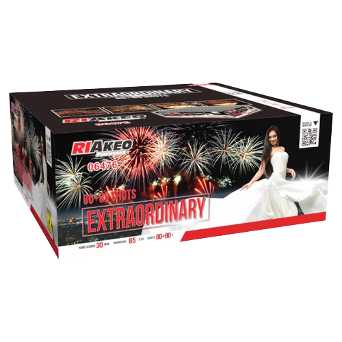 Extraordinary 160s HF-80-2366/HF-80-2367 F2 1/1