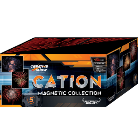 Cation 100s PXC216 F2 1/1