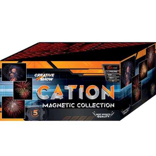 Cation 100s PXC216 F2 1/1