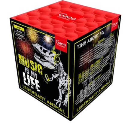 Music in my Life 25s M25-1 F2 8/1