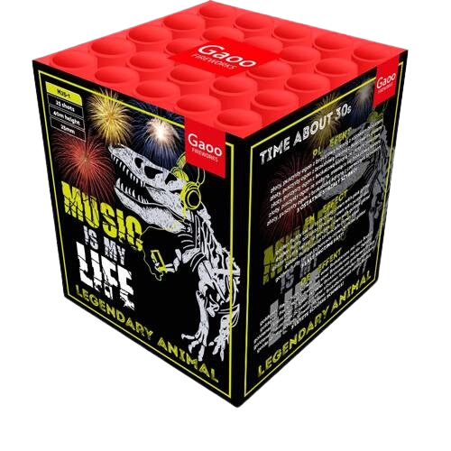 Music in my Life 25s M25-1 F2 8/1