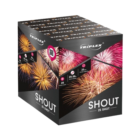 Shout 25s TXB539 F2 8/1