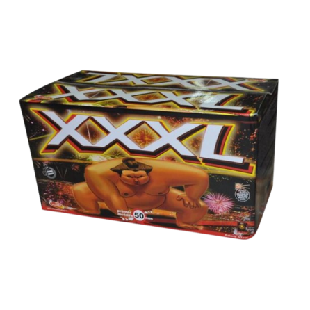 XXXL Battery 2" 50s C505X F3 1/1