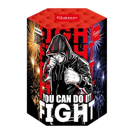 FIGHT you can do it SL19-01DI 19s F2 8/1