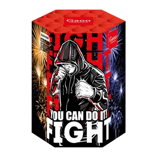 FIGHT you can do it SL19-01DI 19s F2 8/1