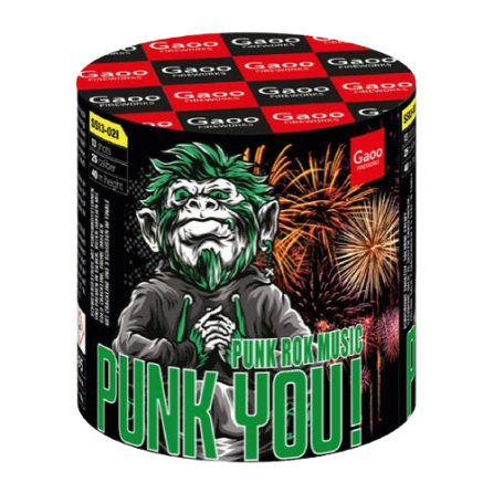 Punk You 13s SS13-02I F2 9/1