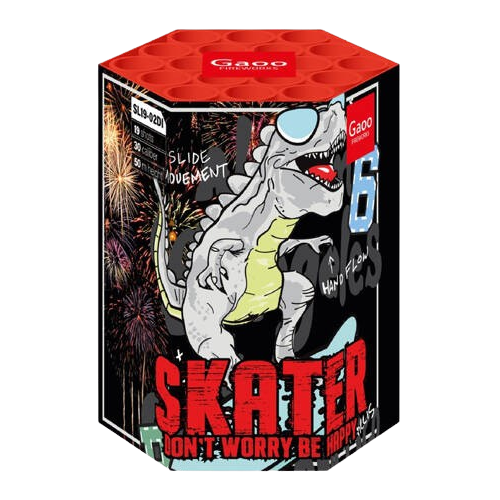 SKATER dont worry be happy SL19-02DI 19s F2 8/1